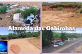 👉🏻🤝👏🏻👍🏻🧢🫵🏻🚧🌿 ALAMEDA DAS GABIROBAS: APÓS DENÚNCIA DO PORTILHO.ONLINE, LOCAL É PARCIALMENTE LIMPO! 👏🧹