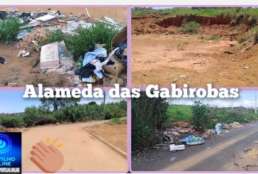👉🏻🤝👏🏻👍🏻🧢🫵🏻🚧🌿 ALAMEDA DAS GABIROBAS: APÓS DENÚNCIA DO PORTILHO.ONLINE, LOCAL É PARCIALMENTE LIMPO! 👏🧹