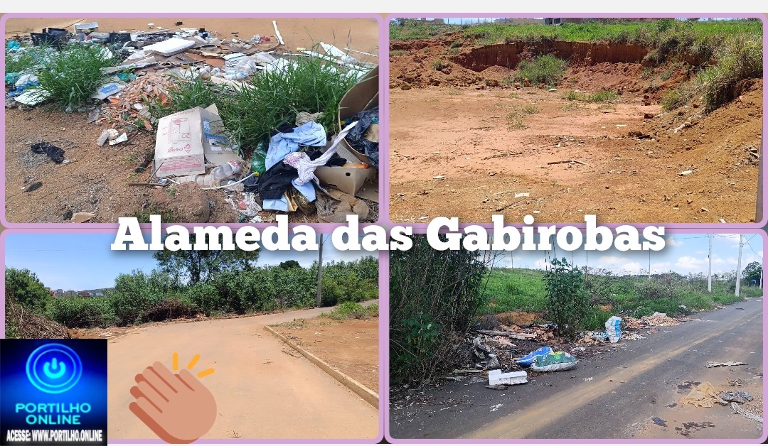 👉🏻🤝👏🏻👍🏻🧢🫵🏻🚧🌿 ALAMEDA DAS GABIROBAS: APÓS DENÚNCIA DO PORTILHO.ONLINE, LOCAL É PARCIALMENTE LIMPO! 👏🧹