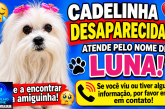 👉😪😔🐩🐕🐈CADELINHA DESAPARECIDA!!! ATENDE PELO NOME DE LUNA!