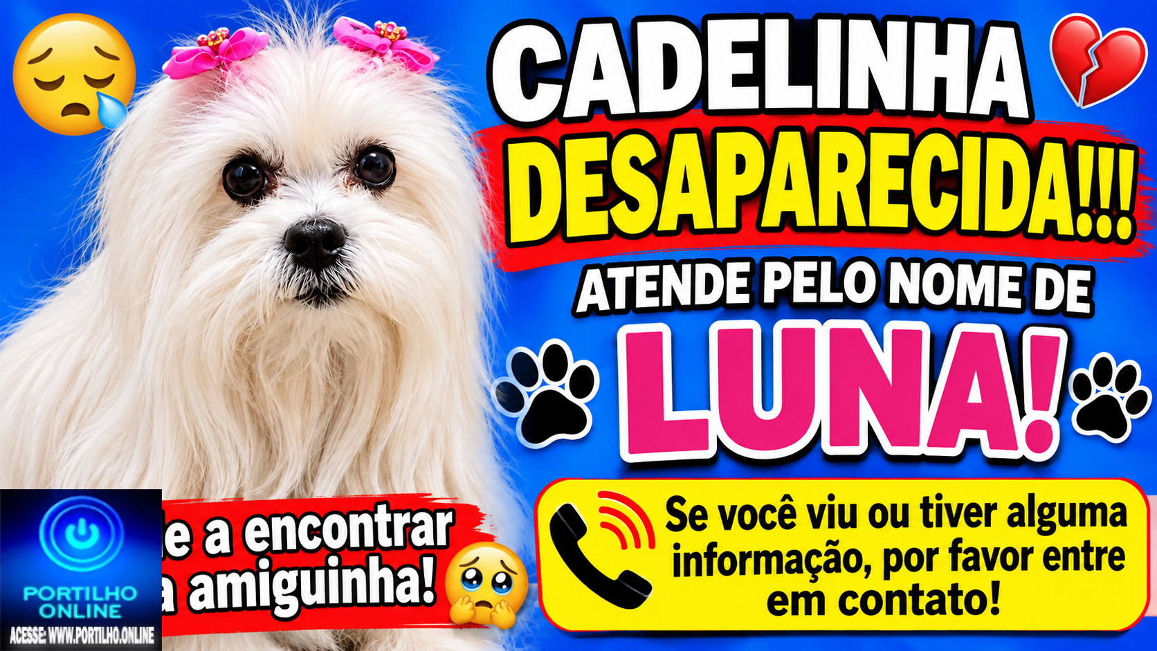 👉😪😔🐩🐕🐈CADELINHA DESAPARECIDA!!! ATENDE PELO NOME DE LUNA!